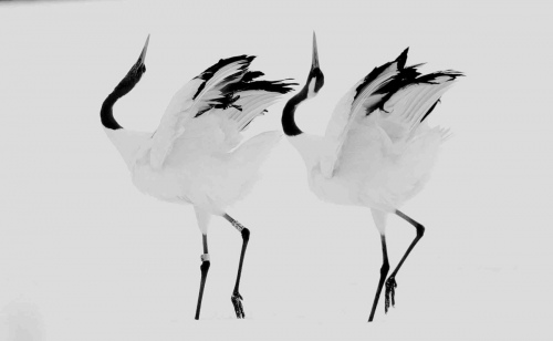 Couple dance
