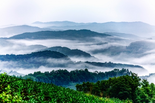 Misty mountains