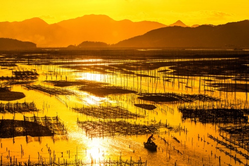 Golden intertidal zone