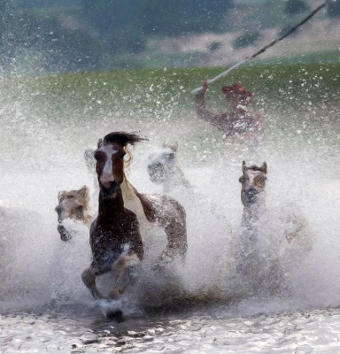 Galloping ceaselessly