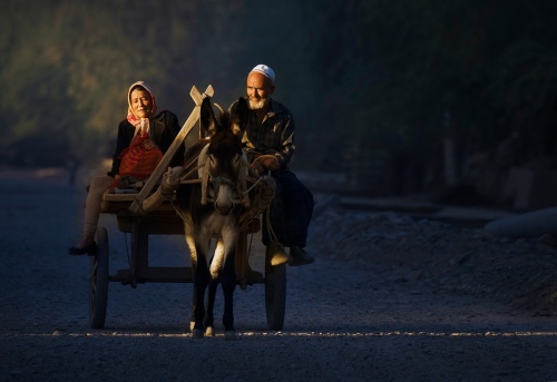 Return from market