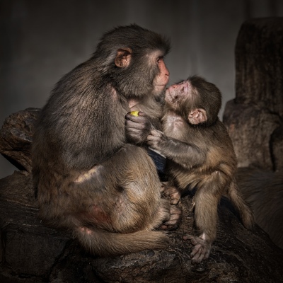 Mom and baby 15