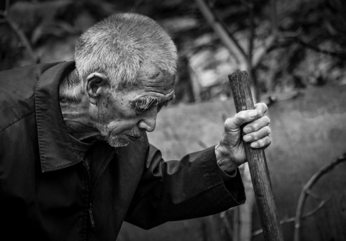 Old farmer 2