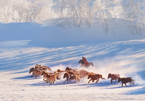 Madrigal on the snowland