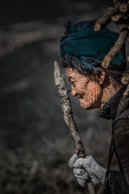 Carrying firewood 1
