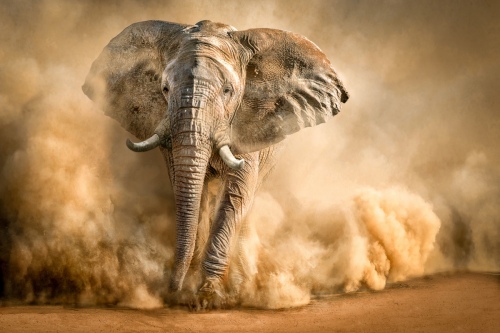 -Sandstorm