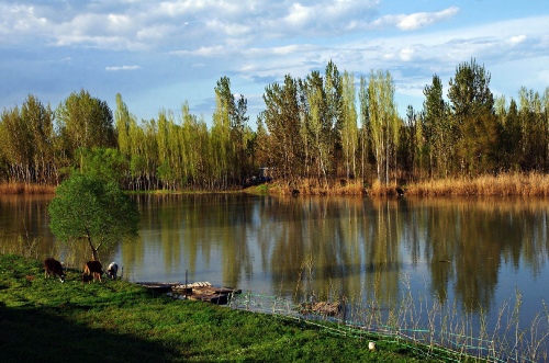 Hevsel gardens in Diyarbakir
