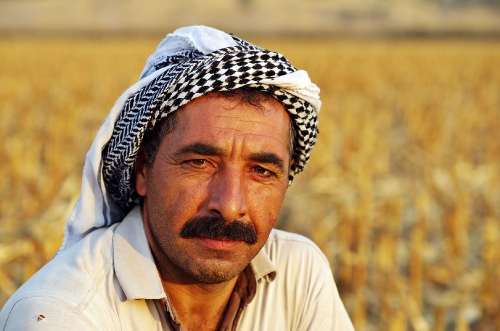 Kurdish shepherd