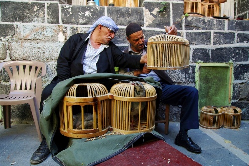 Partridge vendors from Diyarbakir