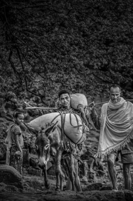 Ethiopian farmers