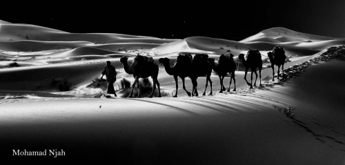 Caravan