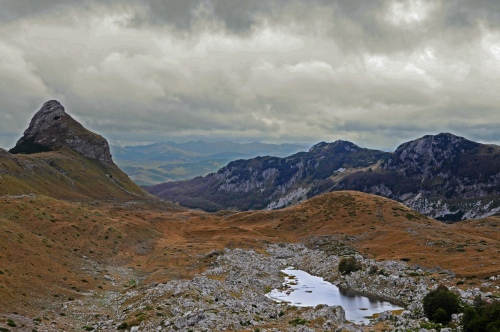 The Saddle