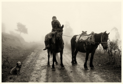 The Horseman