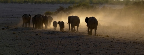 Return at dusk