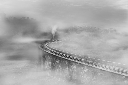 Train in the Mist