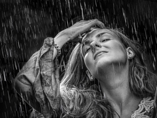 Safari in Rain