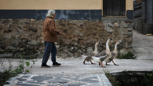 The Goose Granny