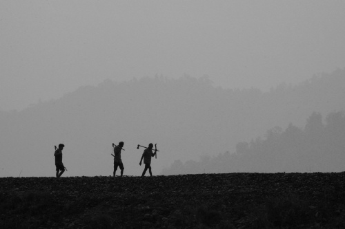 TOIL TO LIVE