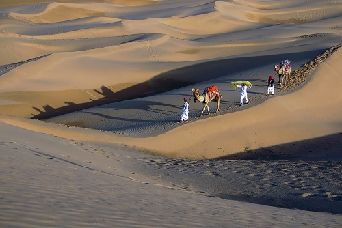 DESERT WALK