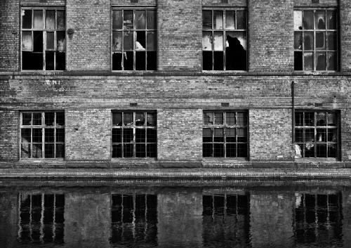 A Sad Reflection