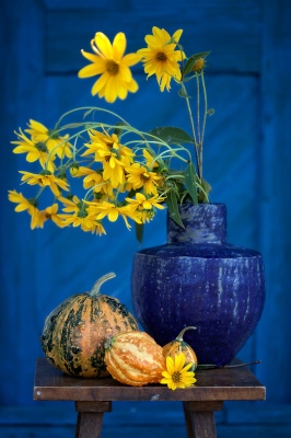 Yellow flowers