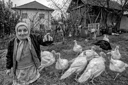 Stories from the village