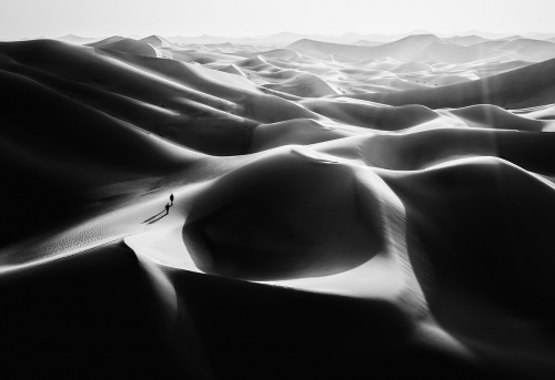 The ligh of the desert