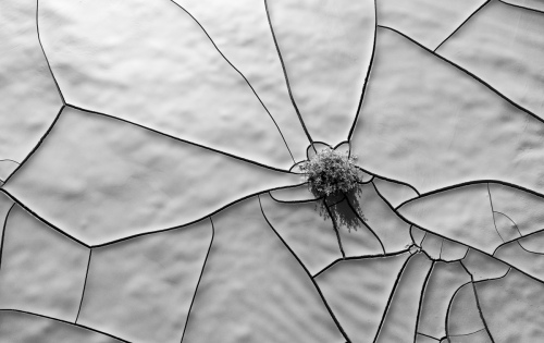 Clay Cracks