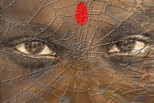 Web 1