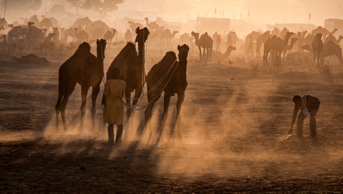 Pushkar 5