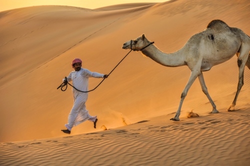 Walking in the desert