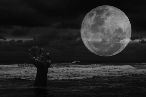  Reach to the Moon