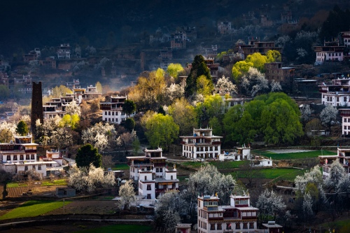 Sun Qingsheng