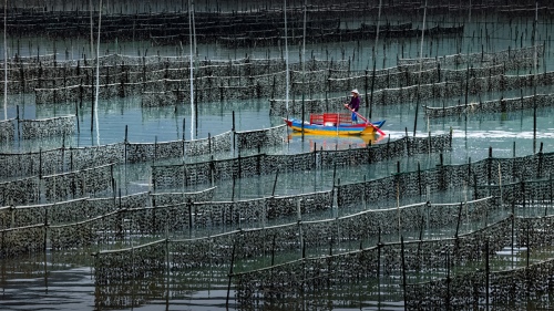 One leaf boat