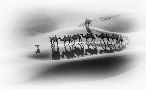 Boats in the desert