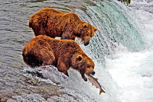 Deadly leap
