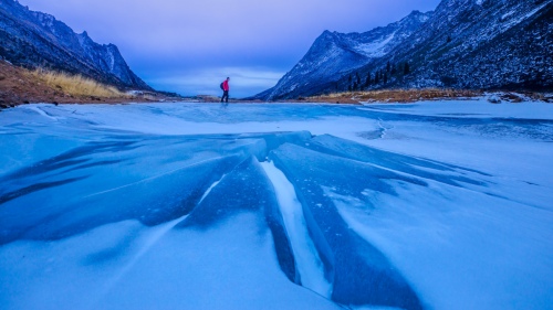 Frozen