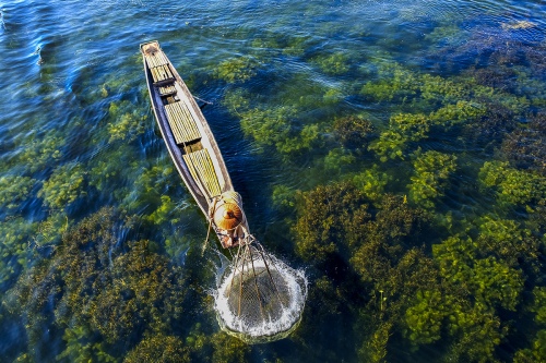 catching fish