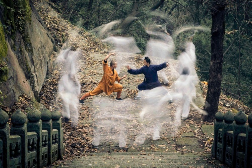 Wudang Taiji and Shaolin Martial Arts