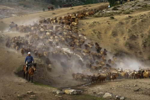 Ancient road of a thousand years