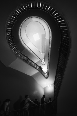 Ear-shaped ladder