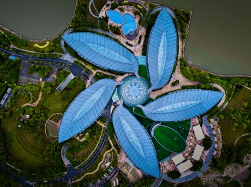 Floral hotel