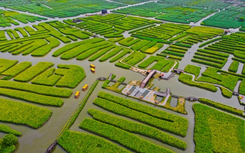 Splendid countryside