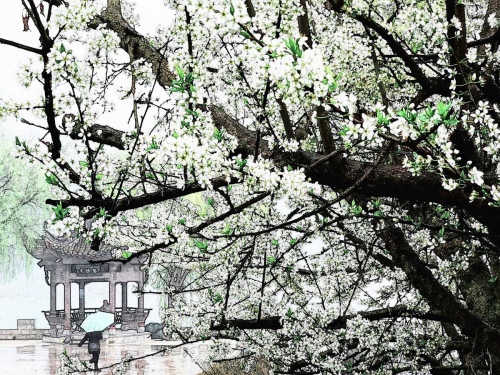 Spring rain