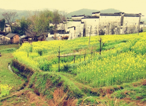 Early spring