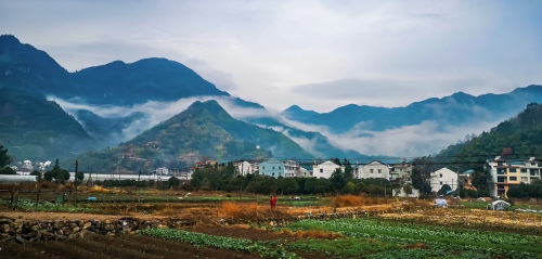 Pastoral song