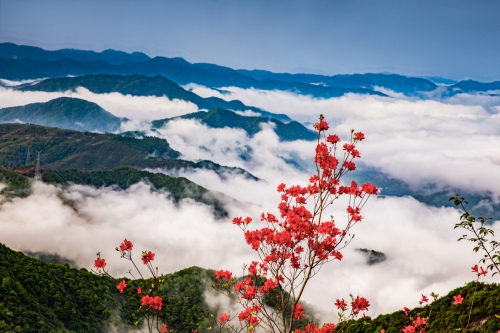 Sea of clouds