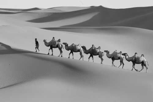 Shadow of the dunes