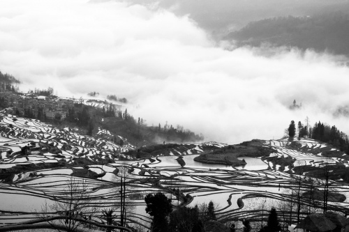 Terrace in fog