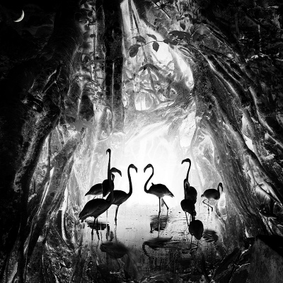 Dreaming homeland